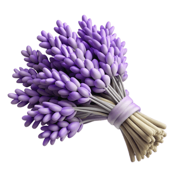 extraordinary rustic Dried Lavender Bundles Top View Isolated with Soft Focus genuine png