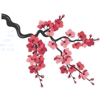 Cherry blossoms branch vector