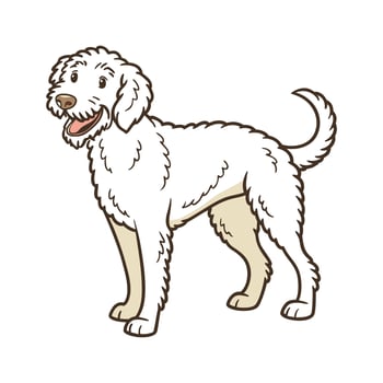 Charming Lagotto Romagnolo on White vector