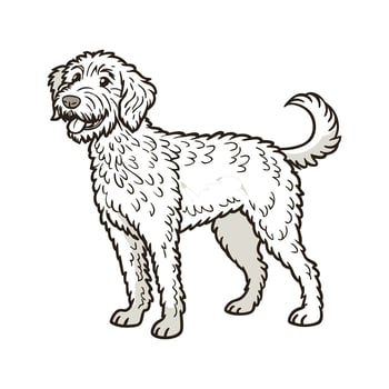 Beautiful Lagotto Romagnolo in Nature vector