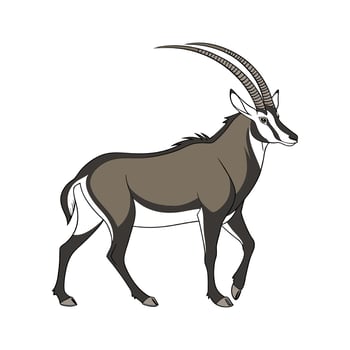Sable Antelope on White Background vector