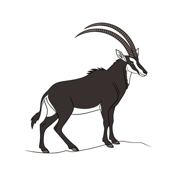 Sable Antelope CloseUp vector