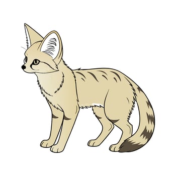 Sand Cat on White Background vector