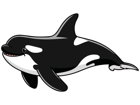 Killer whale cartoon vector