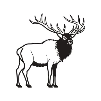 Powerful North American Elk Standing Proudly vector