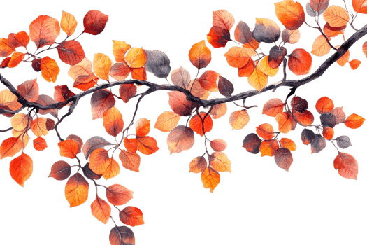 Vibrant autumn leaves with a transparent background png