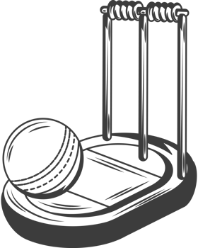 cricket ball with stumps and basils in stadium sketch png