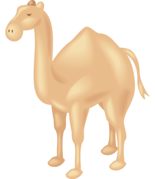 camel desert animal design png