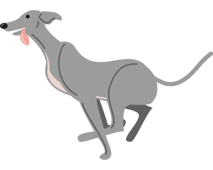 running greyhound dog icon png