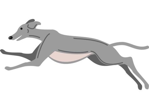 greyhound dog jumping icon png