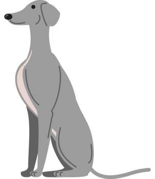 greyhound dog sitting icon png
