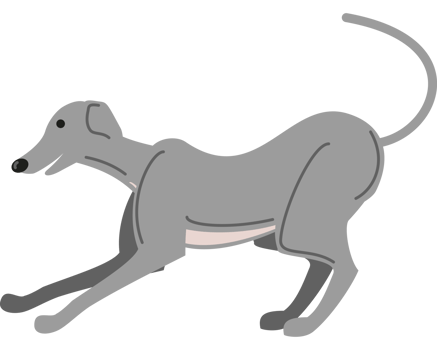 greyhound dog pet icon png