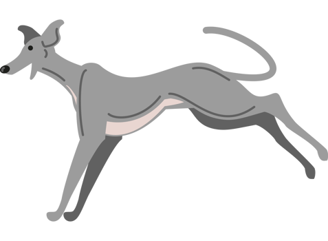 greyhound dog mascot png
