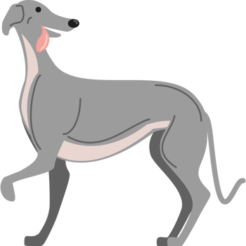 greyhound dog tongue out icon png