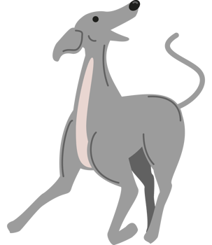 greyhound dog playing png