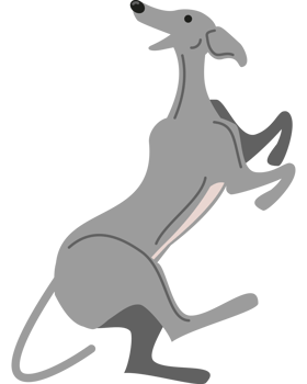 greyhound dog animal png
