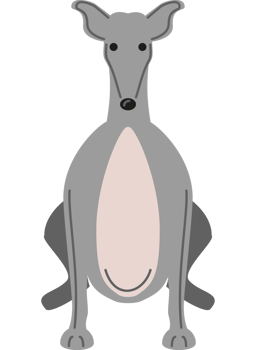 greyhound dog front view png
