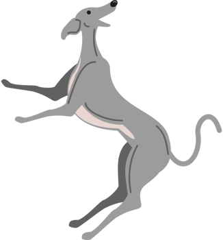 funny greyhound dog png
