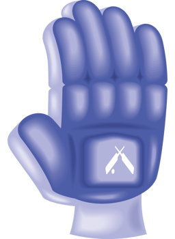 Cricket gloves icon png