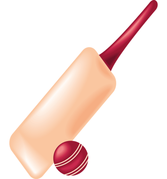 Cricket bat icon png