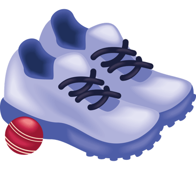 Cricket shoes icon png