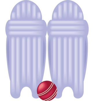 Cricket pads icon png