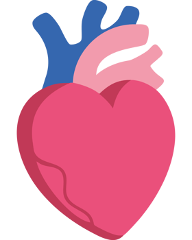 Anatomical heart design icon png