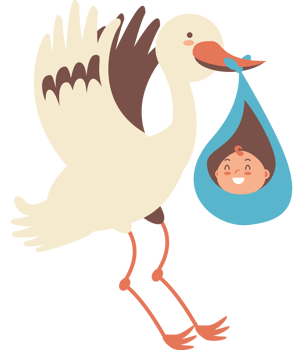 Baby Delivery Stork Holding Infant png