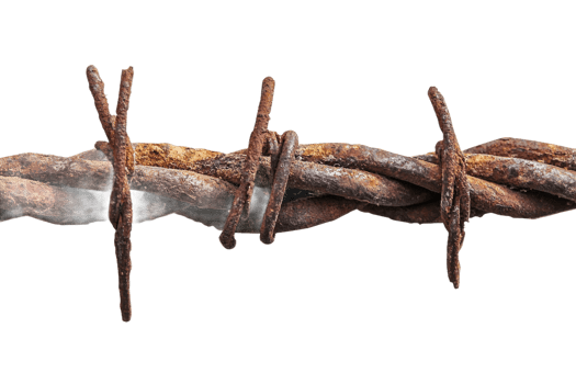 Rustic barbed wire strand isolated on black background, cut out transparent png