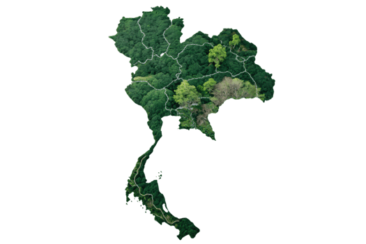 Thailand map with varying greenery, showing different forest densities and distinct regions, symbolizing ecological diversity and a balance between nature and geography png