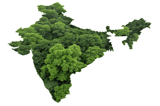 A different perspective of India map, layered with bright green trees and a focus on forest regions, symbolizing natural abundance png