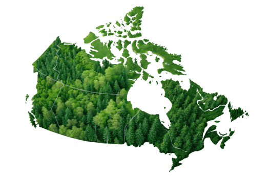 A map of Canada creatively filled with evergreen forests, showcasing the vastness and natural beauty of the country png