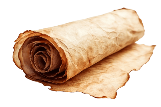 Rolled up old vintage scroll parchment paper texture , cut out transparent png