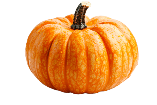 Fresh, Orange Pumpkin, Detailed Texture, Water Droplets, Close Up, cut out transparent png