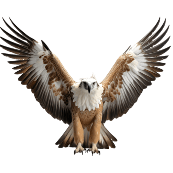 Majestic philippine eagle spreading wings in its natural habitat captivating wildlife photography png