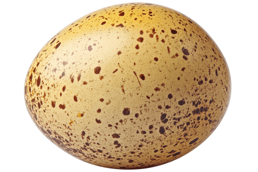 Speckled Egg Isolated on Black Background, cut out transparent png