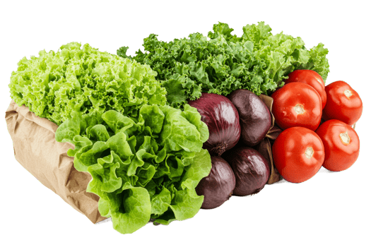 Fresh red tomatoes, red onions and lettuce in bag, cut out transparent png