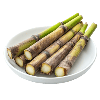 Sugarcane stalks arranged on a white plate isolated against a clean Transparent background, sugarcane in white plate isolated on background png