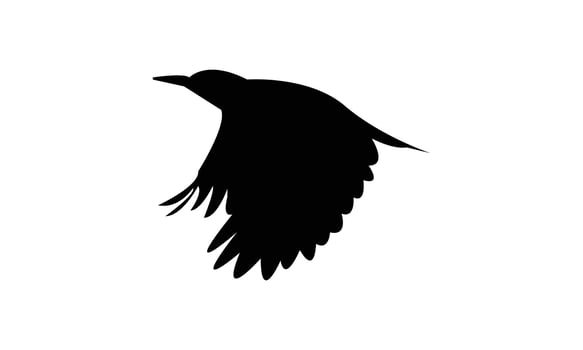 Flying African grey woodpecker bird black Silhouette vector