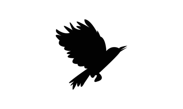 Flying African grey woodpecker bird Silhouette vector