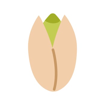 Pistachio nut, raw gourmet snack and first-class ingredient for desserts. illustration. vector
