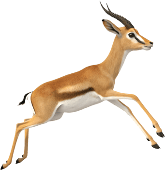 Graceful Gazelle Illustration to Enhance Your Clipart Collection. . png