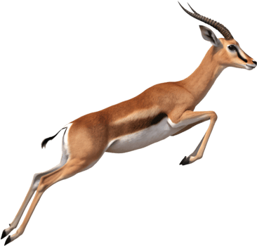 Graceful Gazelle Clipart for Wildlife Lovers. . png