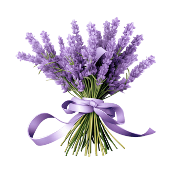 Beautiful lavender bouquet wrapped with a soft purple ribbon png