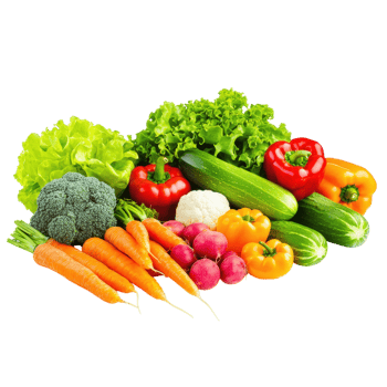 Fresh vegetables on a transparent background. Includes carrots, lettuce, peppers, cucumbers, broccoli, cauliflower, and radishes. Healthy eating concept. png