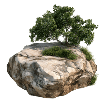 3D Lone Tree on Rocky Surface Isolated on Transparent Background png
