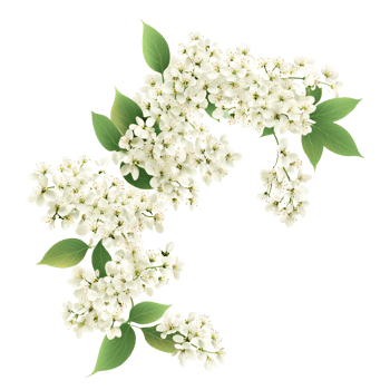 Realistic White Floral Ring With Green Foliage On Transparent Background png