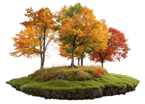 Lush autumn landscape with vibrant trees in orange, red, and yellow hues png