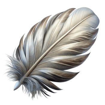 vibrant traditional Fractal Vr Feather with White and Grey Plumage Isolated high resolution png