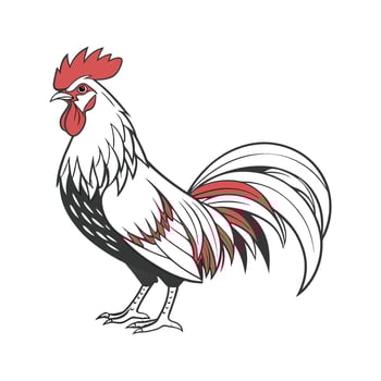 Distinctive Polish Chicken Realistic Color Illustration vector